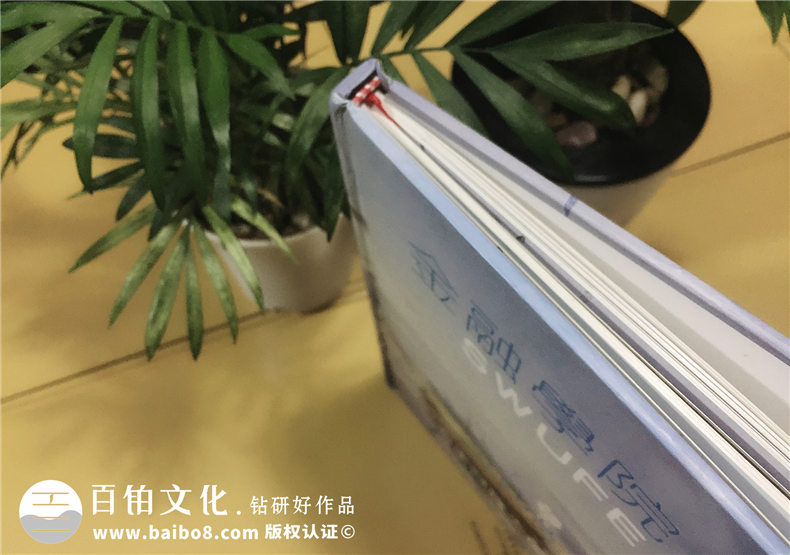 西南财经大学金融学院毕业纪念册-班级同学录