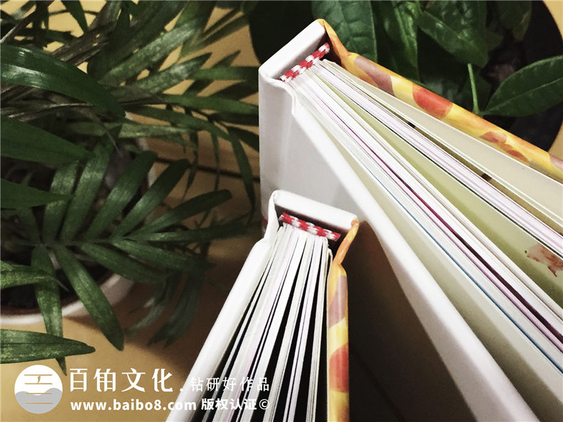 毕业同学录设计制作(以手绘或实拍的学校图片为背景),可手写填信息