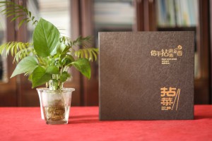 五星级酒店特色餐厅制作高档菜单实拍图片-给菜谱设计厂家跪了!