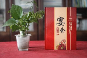 酒店菜单设计与制作-做酒店宴会菜谱画册知名的公司