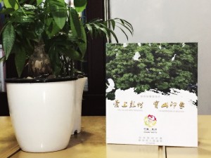 彭州宝山-城市形象宣传片光盘包装盒设计制作