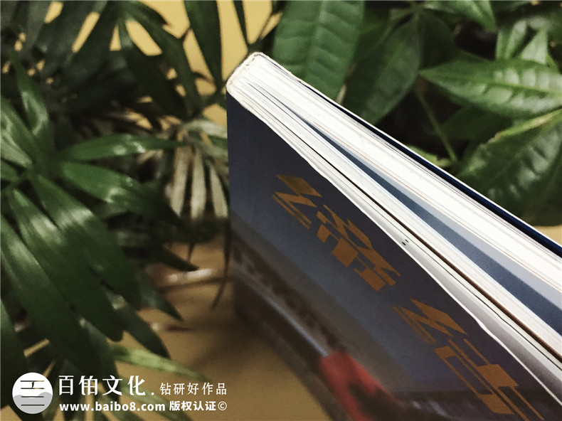 《缔结》期刊杂志印刷制作-企业内刊设计