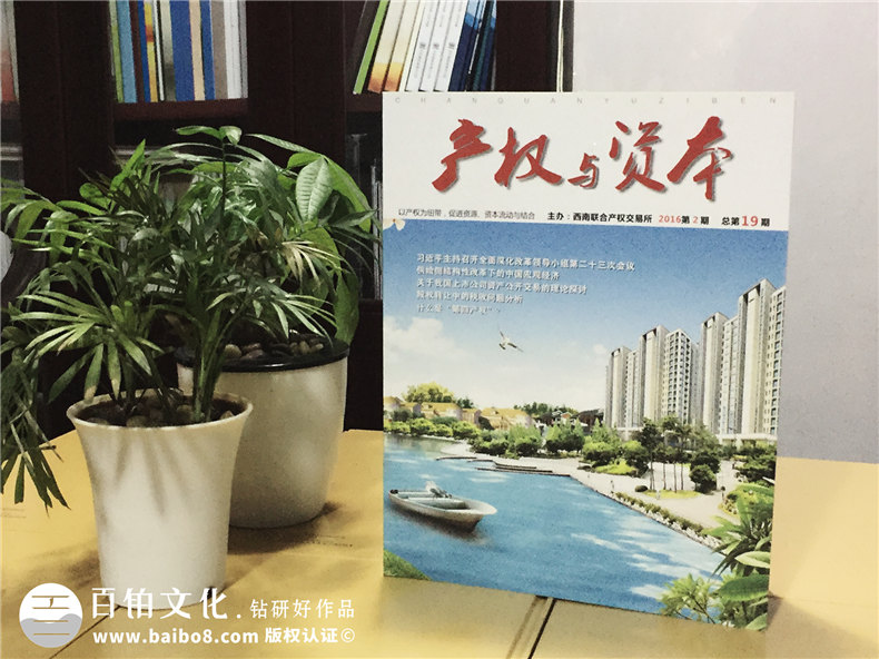 《产权与资本》西南联交所企业内刊杂志制作