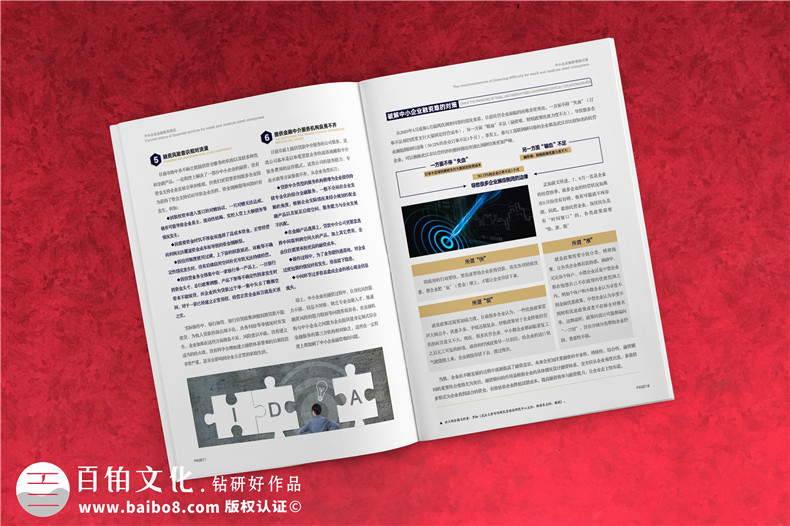 金融服务协会及知识产权杂志排版-企业文件内刊回忆录