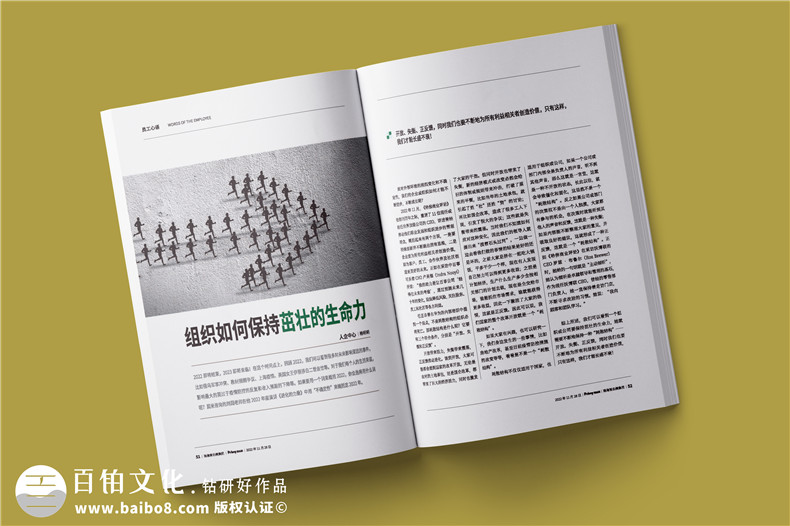 企业年报设计-公司年度报告画册排版