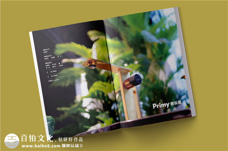 企业年报设计-公司年度报告画册排版