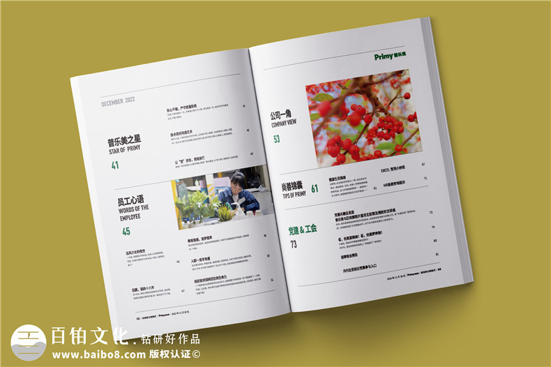 企业内刊设计-内刊排版怎么做有规范