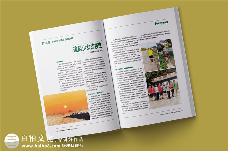 企业年报设计-公司年度报告画册排版
