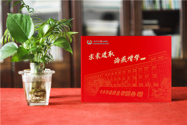 企业周年庆纪念册包含哪些内容框架-分公司支部建厂成立二十年画册