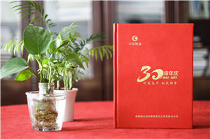 公司成立三十周年纪念画册-单位30周年图册内容设计