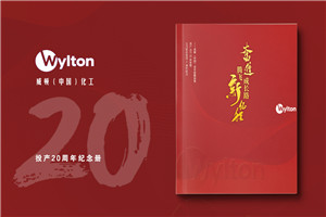 化工企业20周年纪念册设计-公司整合发展大事记画册
