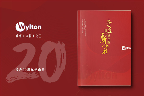 化工企业20周年纪念册设计-公司整合发展大事记画册