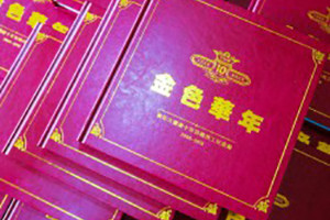 公司年度总结影集-年末单位为功勋员工颁奖做的皮面精装纪念相册!