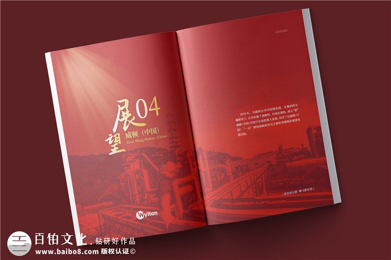 化工企业20周年纪念册设计-公司整合发展大事记画册