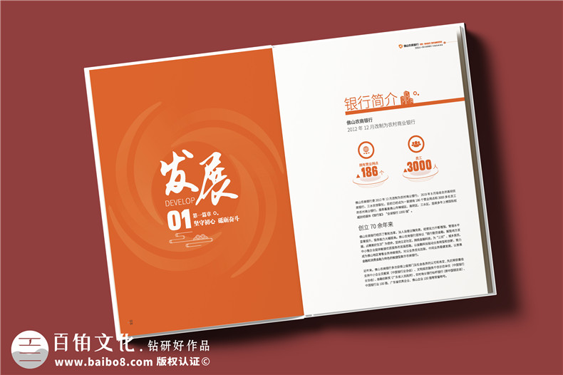 银行年度工作总结画册定制-专业金融画册设计制作