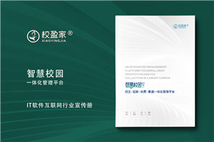IT行业宣传册设计-软件互联网管理系统画册定制