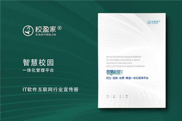 IT行业宣传册设计-软件互联网管理系统画册定制