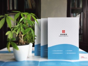 律师事务所宣传画册设计-律师团队企业简介图册案例的内容设计思路