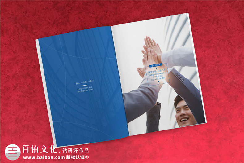 培训学校的品牌设计的主要内容有什么第2张-宣传画册,纪念册设计制作-价格费用,文案模板,印刷装订,尺寸大小
