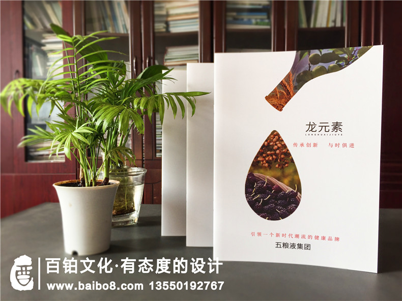 酒业公司招商加盟宣传册设计-白酒水产品画册样本制作-五粮液集团