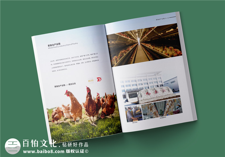 农业画册设计-农业公司农产品宣传册怎么做