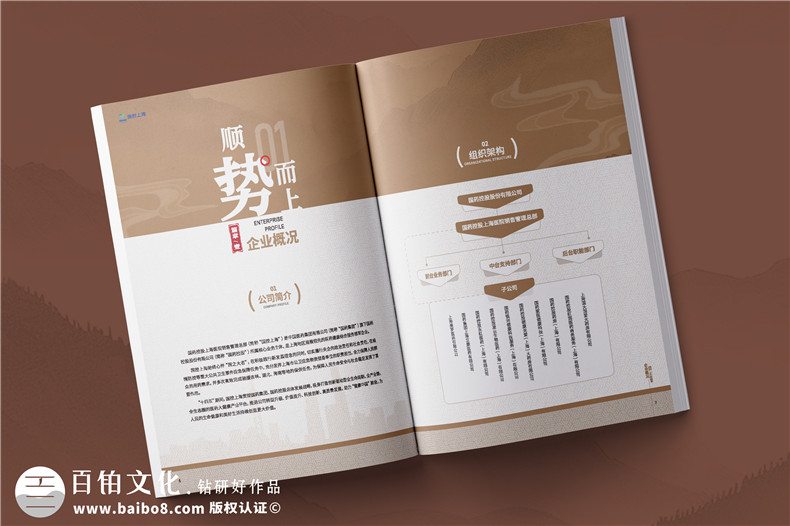 药品分销公司宣传册设计-医药企业画册排版