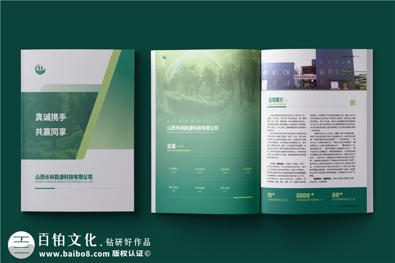 消烟除尘环境工程公司宣传册-脱硫脱硝企业画册