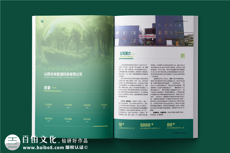 消烟除尘环境工程公司宣传册-脱硫脱硝企业画册