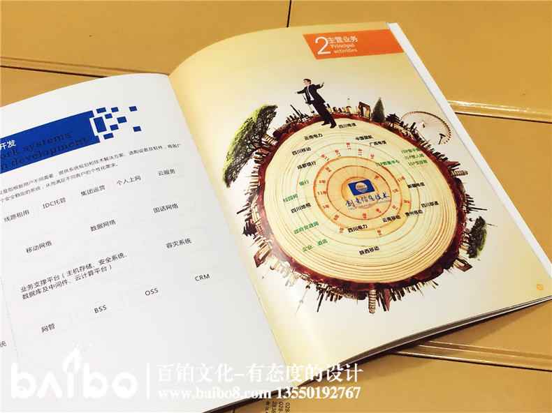 高新信息技术企业宣传画册设计制作-公司画册印刷