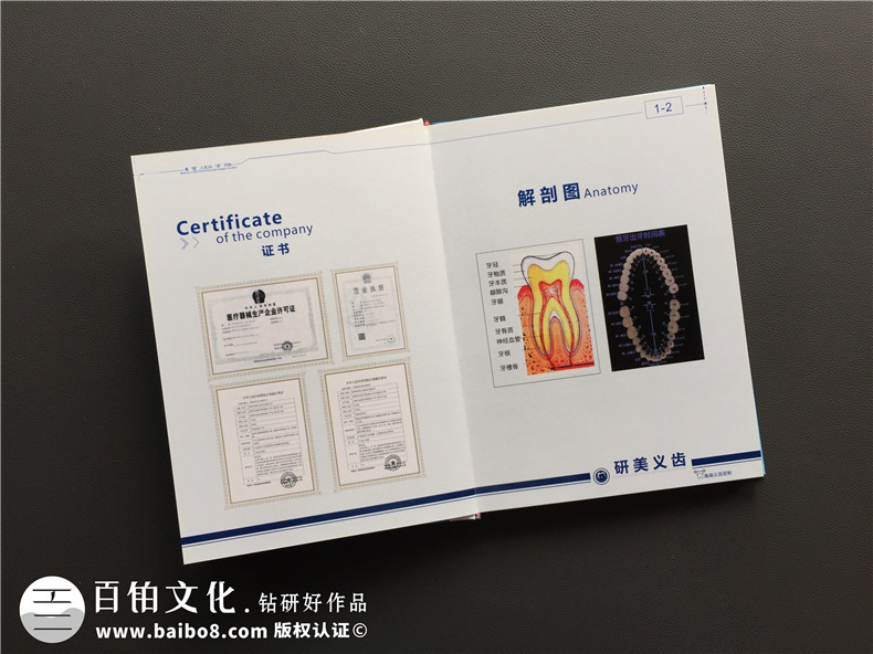 加工生产义齿的厂家宣传手册定制-企业画册设计