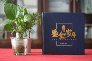 法院领导调离纪念册设计-检察院纪委书记在职期间工作业绩回顾画册