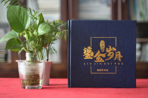 法院领导调离纪念册设计-检察院纪委书记在职期间工作业绩回顾画册