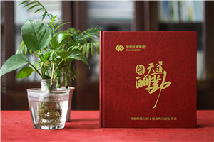 老领导工作的地方个人工作纪实画册设计-制作企业领导相册集锦