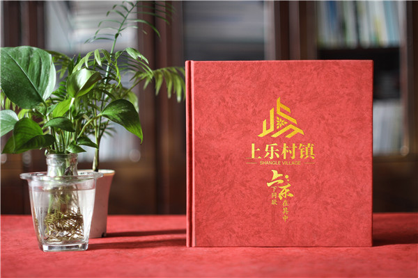 珍藏记忆，感恩同行——镇领导调任纪念册