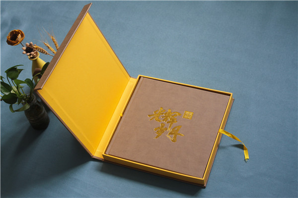 大型集团高管调任纪念册-领导工作历程回顾专属纪念影集