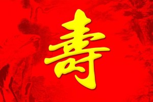 给老人祝寿生日相册设计制作-家庭影集纪念册定制