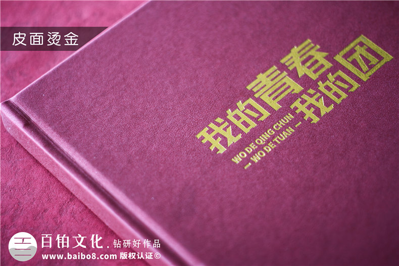 共青团委领导调走纪念相册-党委系统送别党员影集照片书册礼品定制