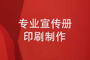 宣传册印刷制作-专业的团队优质的本地制作服务