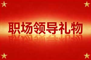 职场礼物送一本领导相册-领导工作回顾相册礼物