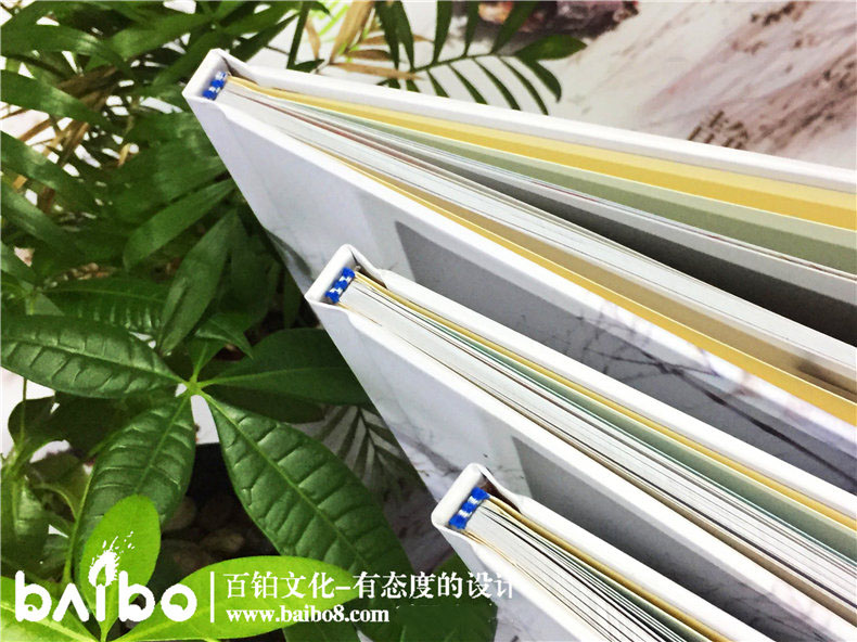 é«ä¸­æ¯ä¸å­£çºªå¿µæå-åå­¦å½ç¸åä¹¦è®¾è®¡éæå­æ¨¡æ¿-æé½å®éªå¤å½è¯­