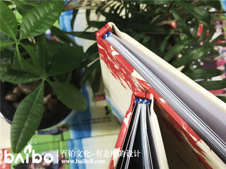 æ¯ä¸30å¨å¹´åå­¦ä¼çºªå¿µå,ç½ä¸åèä¼ç¸åæå¥½å¬å¸-åèç½çµæ·ä¸­å­¦