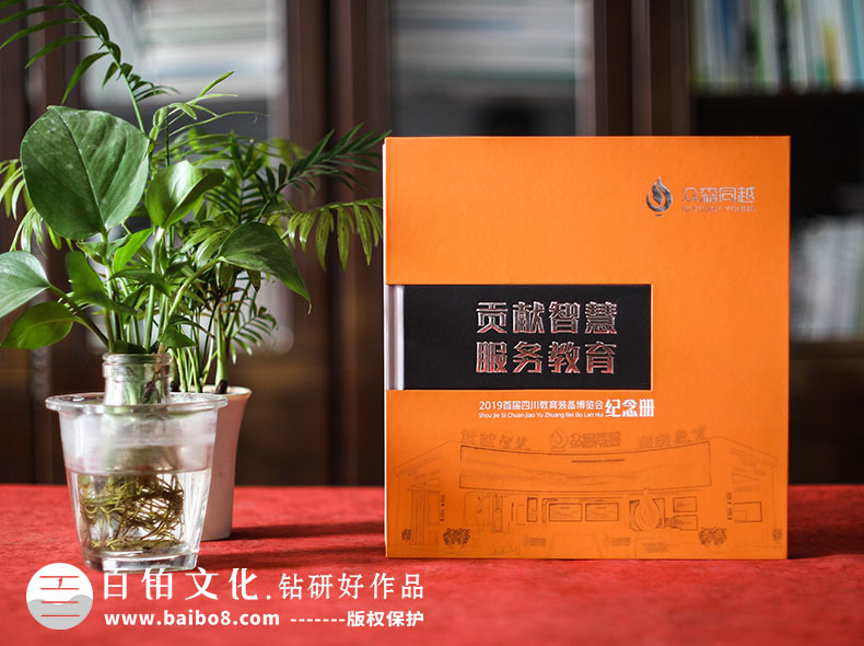 ä¼ä¸åç©åç±»æä»ä¹